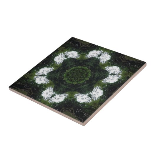 CARREAU GREEN ABSTRACT DRAWING. SAMER BRASIL 1 (Côté)