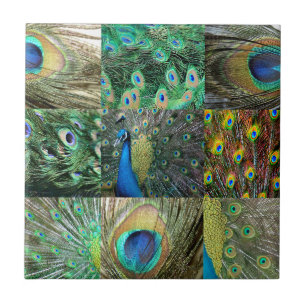Carreau Green Blue Peacock photo collage