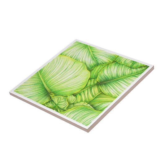 Carreau Green Botanical Ceramic Tile (Côté)