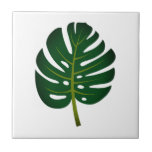 Carreau Green Monstera feuille de palmier personnalisé Car<br><div class="desc">Green Monstera feuille de palmier personnalisé Carrelage en céramique. Carrelage tendance pour les décorations maison comme salle de bain ou mur de cuisine. Ajoutez votre propre texte ou image personnalisée en option. Arrière - plan de couleur blanc ou personnalisé. Disponible en grandes et petites tailles. Décor tropical design, idéal pour...</div>