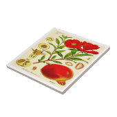 Carreau Grenade (Côté)