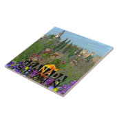 Carreau Grenade (Côté)