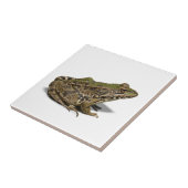 Carreau Grenouille (Côté)