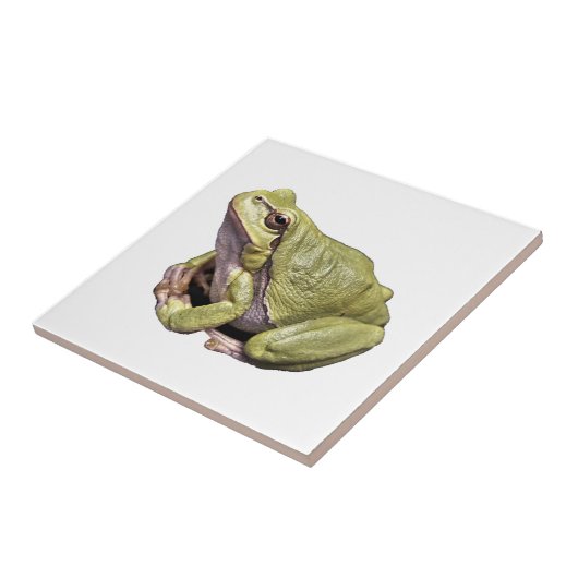 Carreau Grenouille (Côté)