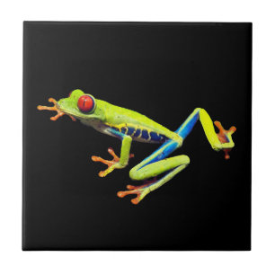 Carreau Grenouille à feuilles rouges