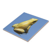 Carreau Grenouille à poison dorée (Côté)