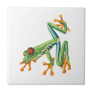 Carreau Grenouille arboricole