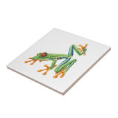 Carreau Grenouille arboricole (Côté)