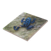 Carreau Grenouille bleue de dard de poison (Côté)