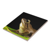 Carreau Grenouille commune sur une feuille (Côté)