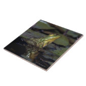 Carreau Grenouille dans un étang (Côté)