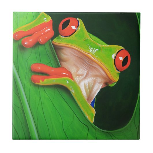 Carreau Grenouille d'arbre observée par rouge (Devant)