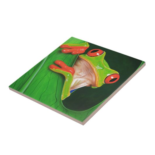 Carreau Grenouille d'arbre observée par rouge (Côté)