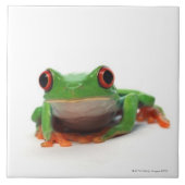 Carreau Grenouille d'arbre observée par rouge 2 (Devant)