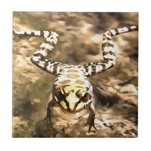Carreau Grenouille De Baignade Immergée Dans La Rivière Cl