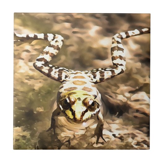 Carreau Grenouille De Baignade Immergée Dans La Rivière Cl (Devant)