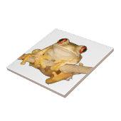 Carreau Grenouille des arbres (Côté)