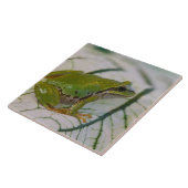 Carreau Grenouille des arbres du Pacifique sur les fleurs (Côté)