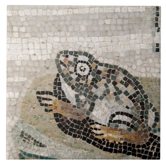 Carreau Grenouille, mosaïque du Nil, de la Chambre du (Devant)