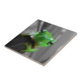 Carreau Grenouille verte brillante (Côté)
