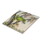 Carreau Grenouille victorienne vintage manger Volée (Côté)