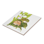 Carreau Grenouilles à cornes (Côté)