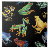Carreau Grenouilles sur noir (Devant)