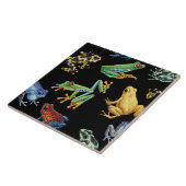 Carreau Grenouilles sur noir (Côté)