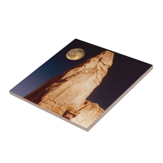 Carreau Grès Pinacle (Côté)