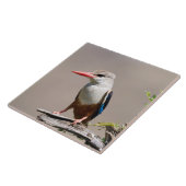 Carreau Grey-Headed Kingfisher (Côté)