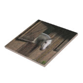 Carreau Grey Horse (Côté)