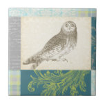 Carreau Grey Owl sur Arrière - plan Motif<br><div class="desc">Vous sentez l'art ? Obtenez ce dessin contemporain d'un hibou gris sur un arrière - plan inspiré par le collage. L'arrière - plan est colorée et présente des tons bleu, gris et vert. Cette carte d'art égayera tout salon, salle de bain ou chambre.</div>