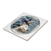 Carreau Greyhound (Côté)