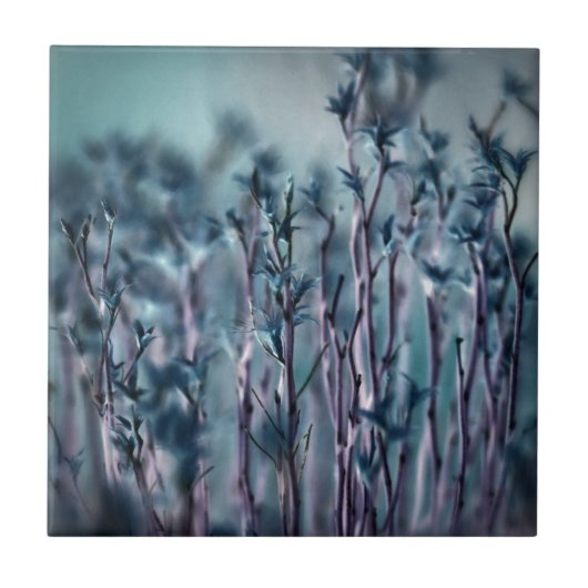 Carreau Gris bleu (Devant)