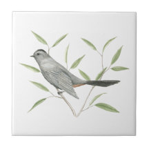 Gris Catbird Oiseau Art
