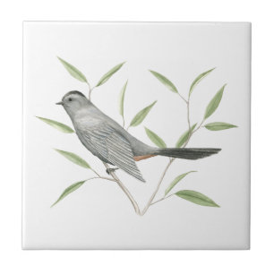 Carreau Gris Catbird Oiseau Art
