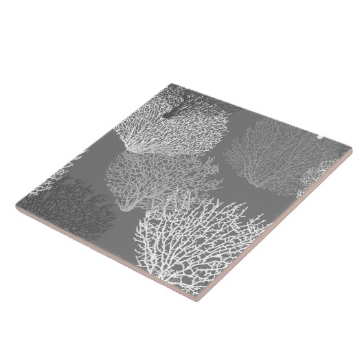 Carreau Gris d'argent / Gris (Côté)