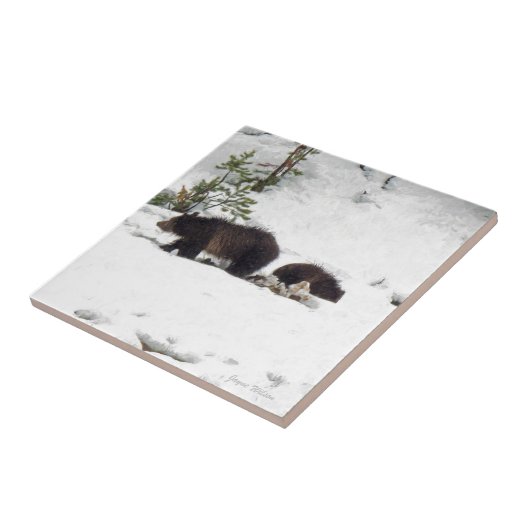 Carreau Grizzlis (Côté)