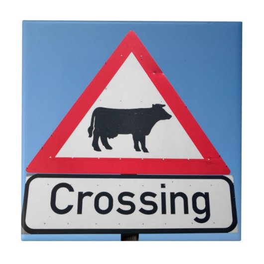 Carreau Gros plan d'un panneau de signalisation de passage (Devant)