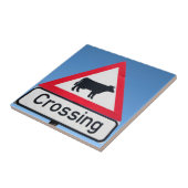 Carreau Gros plan d'un panneau de signalisation de passage (Côté)
