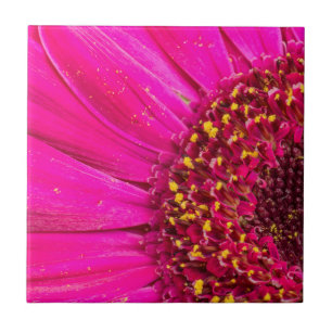 Carreau Gros plan d'une marguerite de Gerber