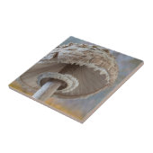 Carreau Gros Plan Sous Les Champignons (Côté)