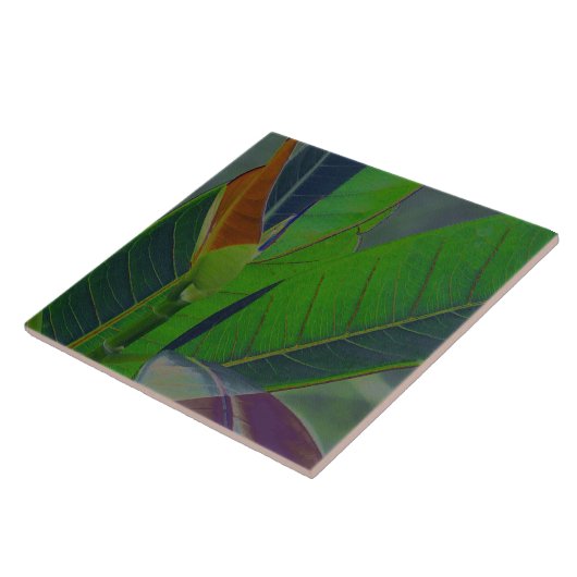 Carreau Gros plan sur des feuilles vertes (Côté)
