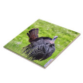 Carreau Gros plan sur la Turquie masculine (Côté)