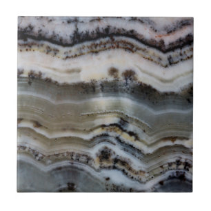 Carreau Gros plan sur un Onyx Silver Lace
