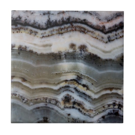 Carreau Gros plan sur un Onyx Silver Lace (Devant)