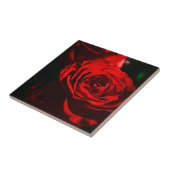Carreau Gros plan sur une rose rouge (Côté)