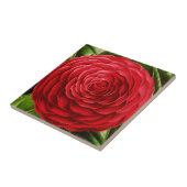 Carreau Grosse floraison de Camellia, tons rouge profond (Côté)