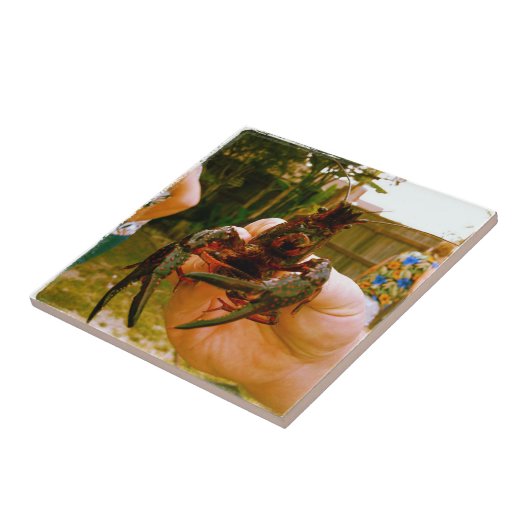 Carreau Grosse langouste vivante (Côté)