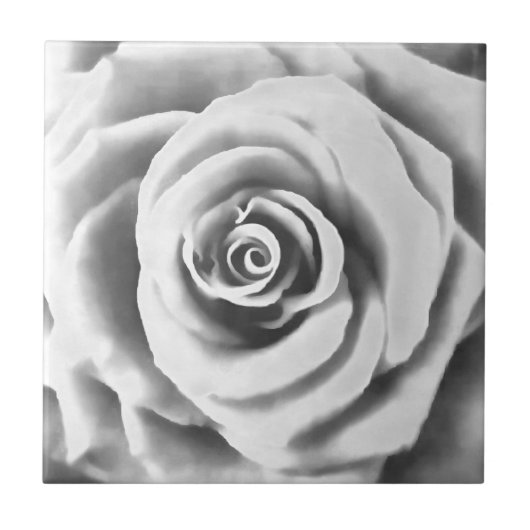 Carreau Grosse Rose blanche artistique (Devant)
